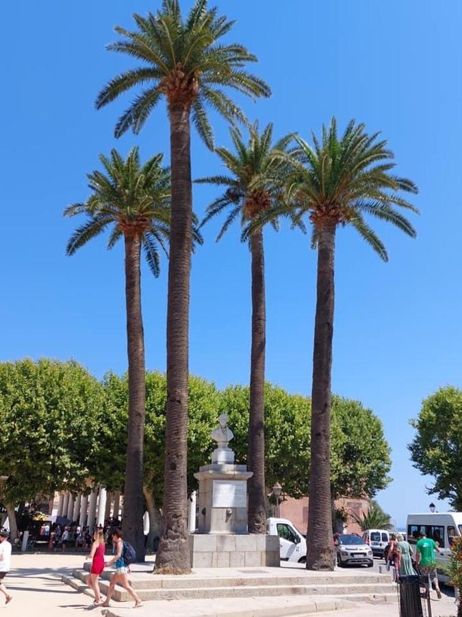 Appartement T4 Tres Bien Situe Et Climatise LʼÎle-Rousse Exterior foto
